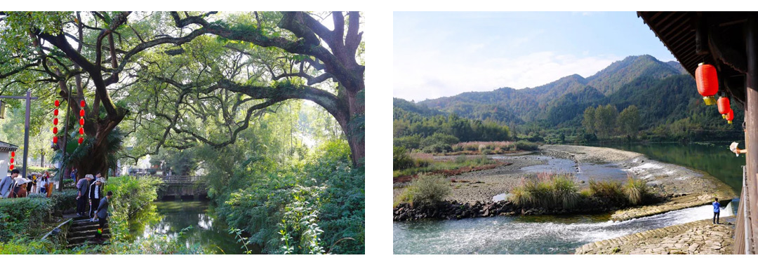 1547452632632608.jpg 海報(bào).jpg